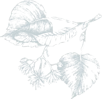 about-story-Vector-03